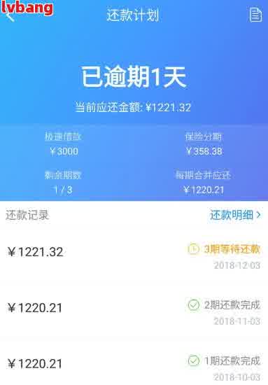 网贷逾期后还款策略：是否需要一次性还清全款？如何制定合理的还款计划？