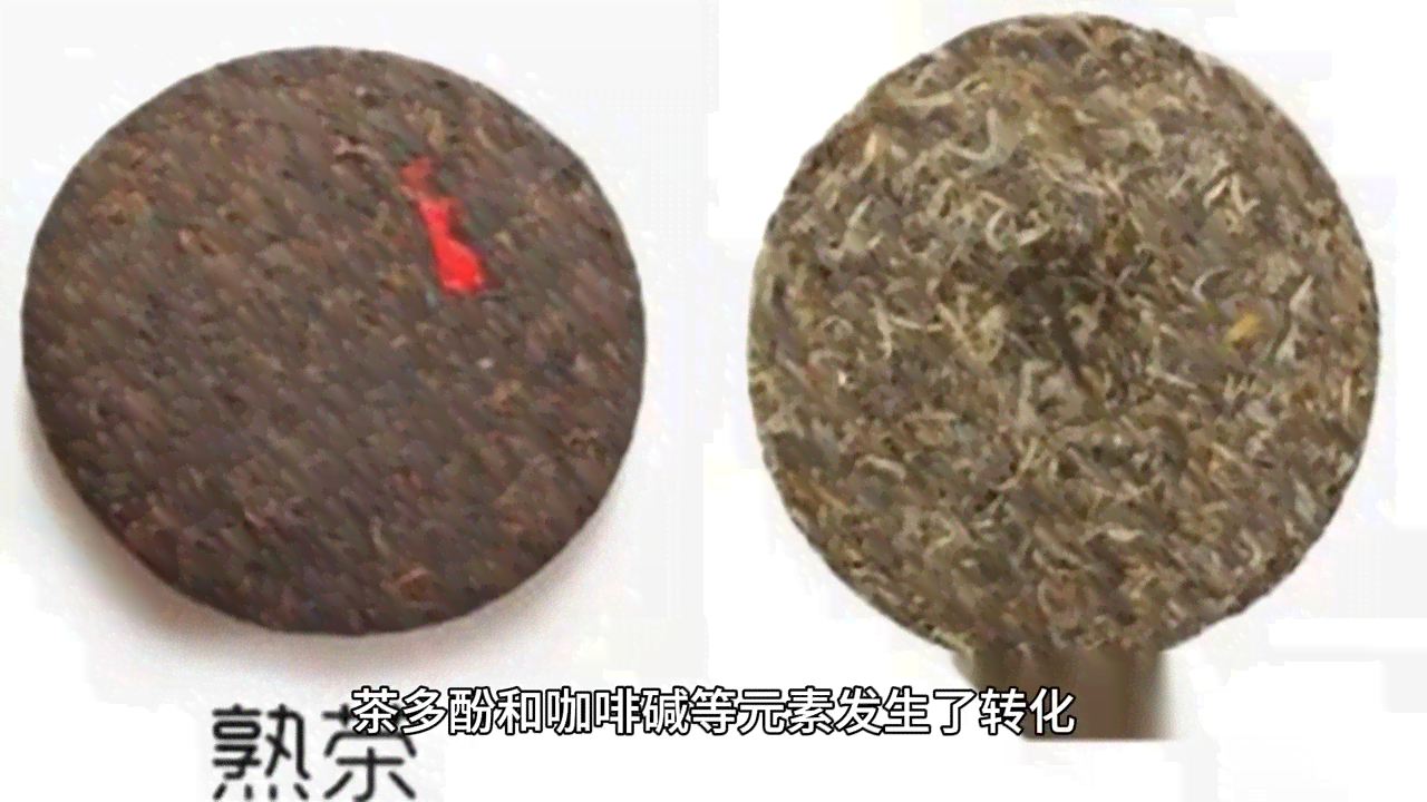 东洋参可以和普洱茶一起喝