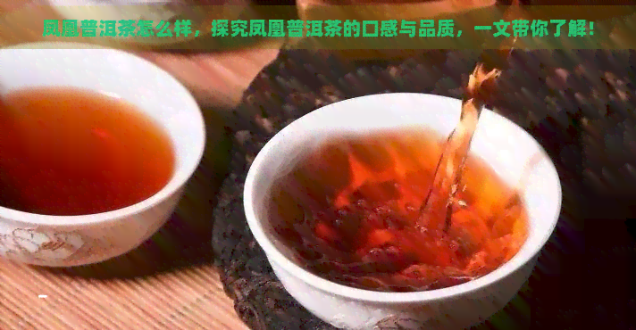 经典凤牌普洱茶推荐：哪款口感与品质俱佳？如何选择最适合自己的一款？