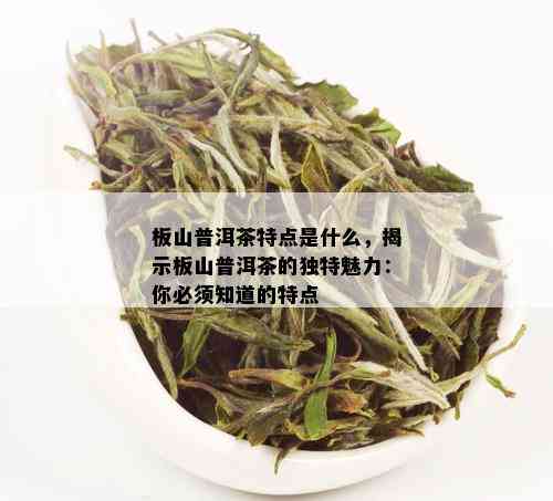 板山普洱茶特点是什么：详解其独特的风味与品质