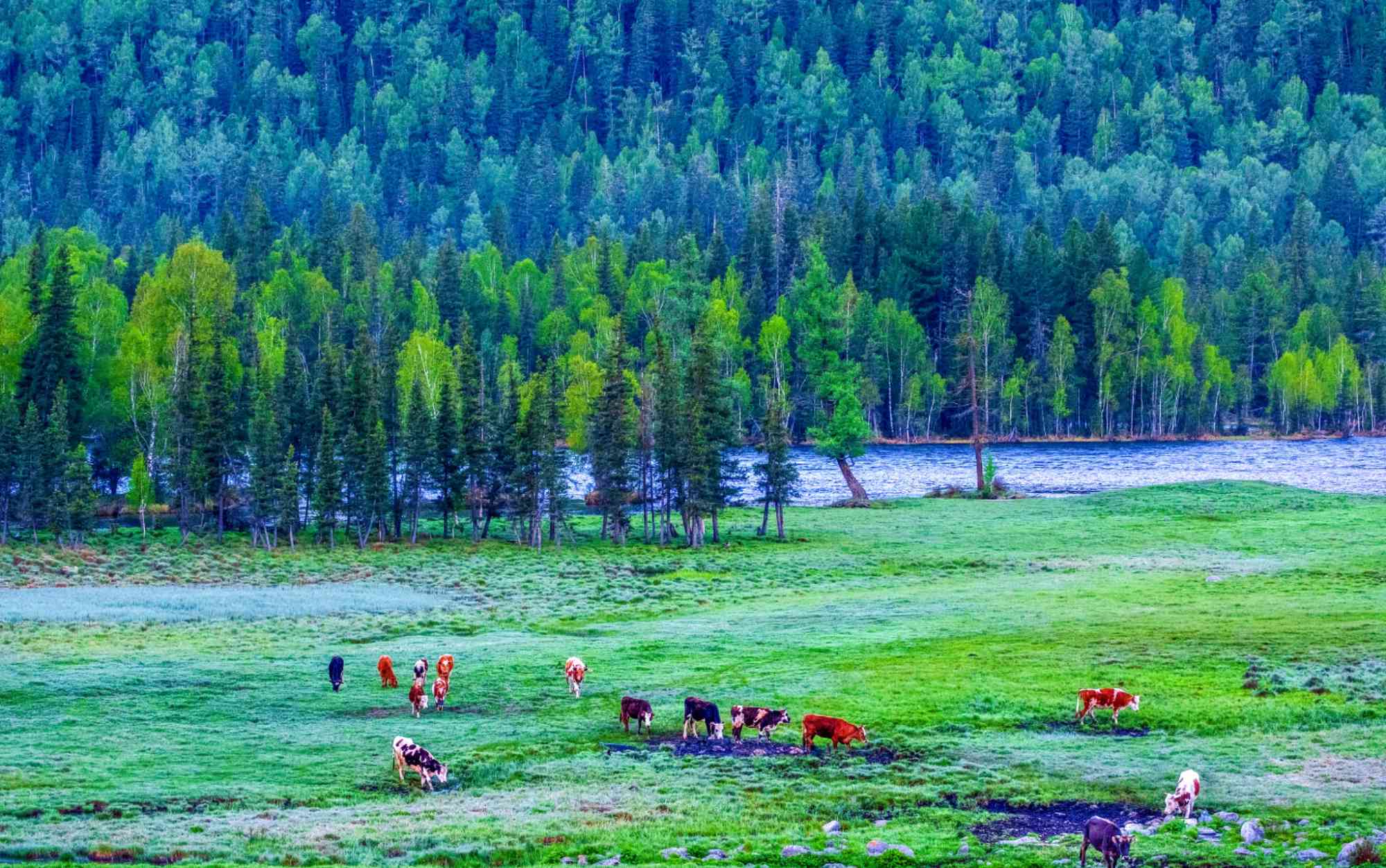 探索青河县：阿勒泰旅游新亮点和不容错过的风景