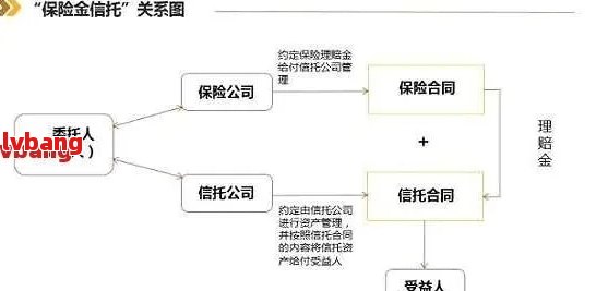 如何处理借呗申请财产保全的疑问，以及相关步骤与要点