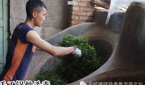 探究手工炒制普洱茶的独特工艺及其对茶叶香气和口感的影响