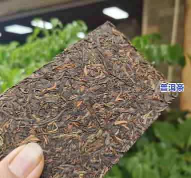 云南台联茶厂十年精选普洱茶叶砖，昆明茶叶公司自产之佳品