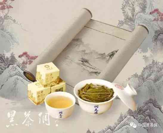 普洱茶的炒制艺术：深入剖析其独特的制作过程和科技元素