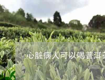 普洱茶饼心：硬而有味，心脏病人宜饮吗？