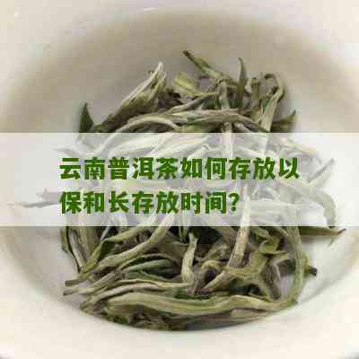 普洱茶新茶怎样保存时间长