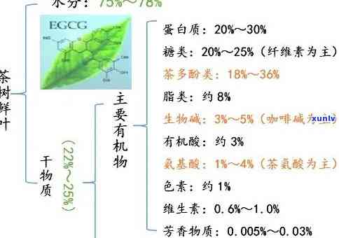 量子茶叶：科学原理、制作方法、功效与禁忌，一文解析