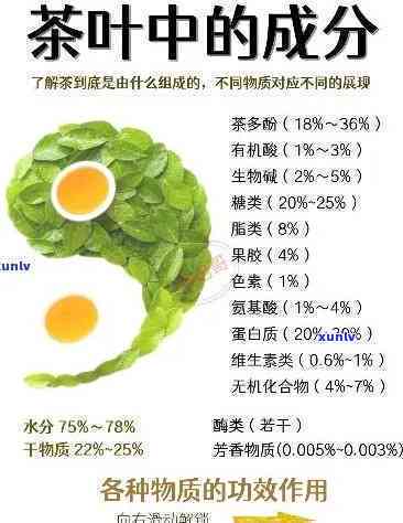 量子茶叶：科学原理、制作方法、功效与禁忌，一文解析