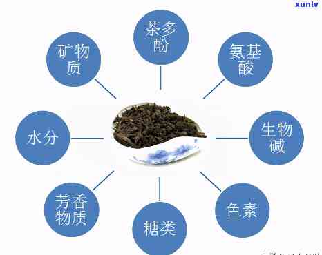 量子茶叶：科学原理、制作方法、功效与禁忌，一文解析