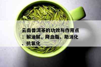 普洱茶加片的功效：提高免疫力，助消化，缓解疲劳，有效降脂。