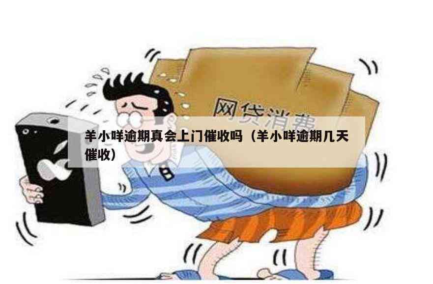 新过年将至，网贷逾期不还，人员或将上门？如何避免不良后果！