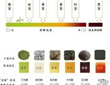 陈化普洱茶的四个阶：详细介绍与区别