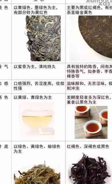 普洱茶陈化与未陈化的关键差异：品鉴之旅揭示陈化魅力