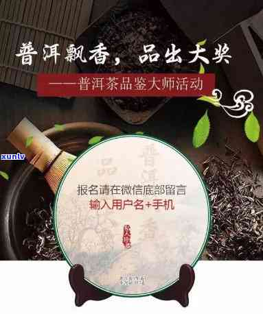 普马普洱茶官方旗舰店：探索正宗普洱茶的品质与选购指南