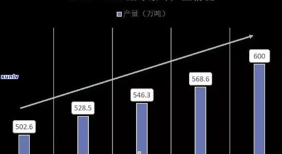 普洱茶市场大动荡：价格暴跌背后的深层原因与影响