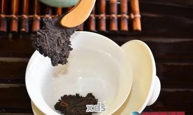 从茶树到泡茶：全面了解岩韵普洱茶的制作工艺与品饮技巧