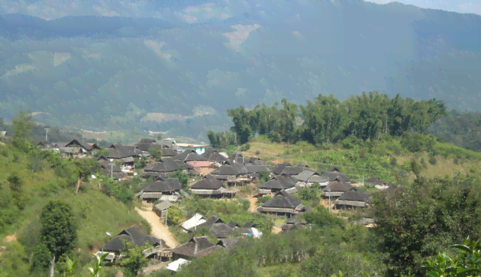 普洱茶的产地及其特点：全面了解普洱茶产自哪里以及其独特的风味