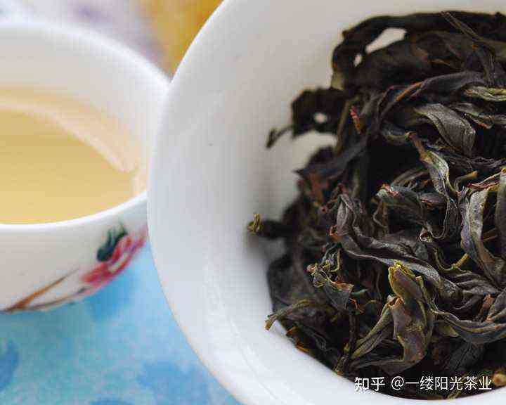 广东州特色岩茶：得天独厚气候条件孕育的乌龙茶品种