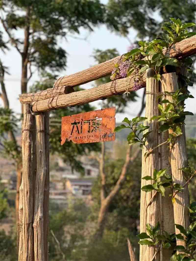 漫古道普洱茶：一款价格实的古树普洱茶体验