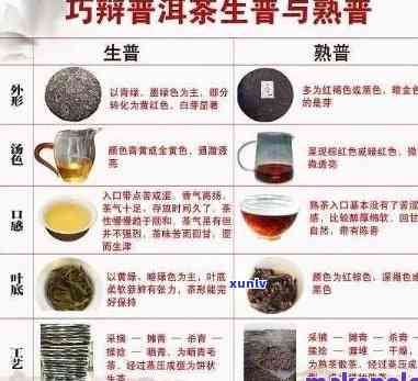 普洱茶与浓茶：两种茶叶的区别及其品尝技巧