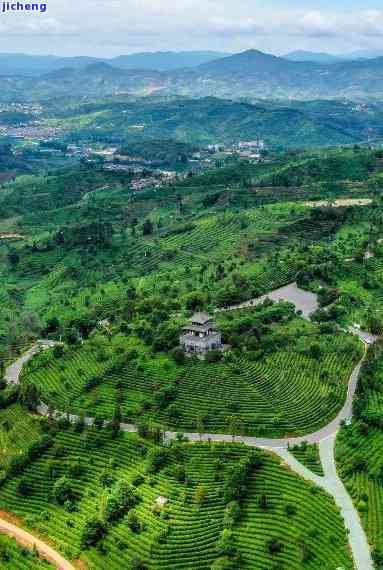 昆明呈贡区普洱茶场电话地址及昆明普洱茶叶场信息