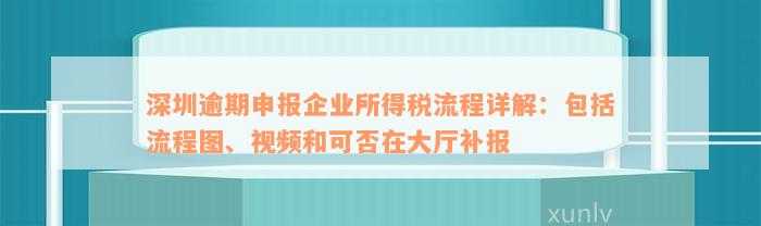 深圳企业所得税逾期补报操作指南：如何到大厅完成申报？