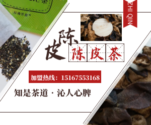 保健牌陈皮普洱茶真伪揭秘：品质保证还是虚假传？