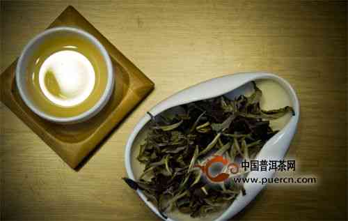 九龙茶普洱茶品质、口感及冲泡方法全面解析，看看是否适合你的口味！