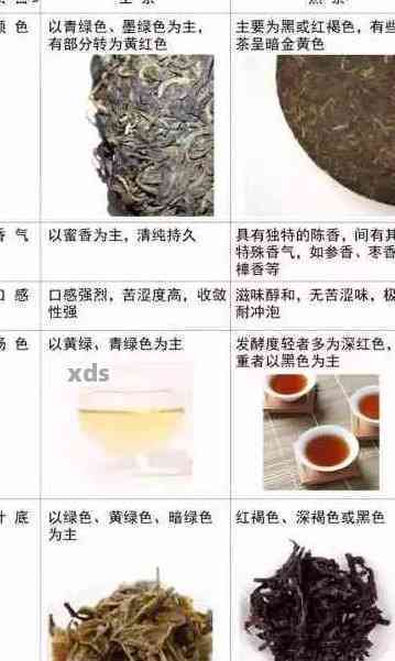 新探究普洱茶的种类、制作工艺及其对人体健的益处