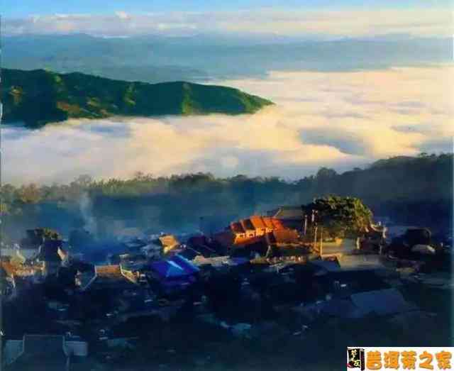 景谷普洱茶的山头特色及区域文化：从山水画到产地特点