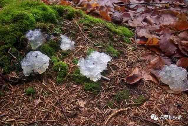 岫玉暴风雪：一种神秘的自然现象解读与探究