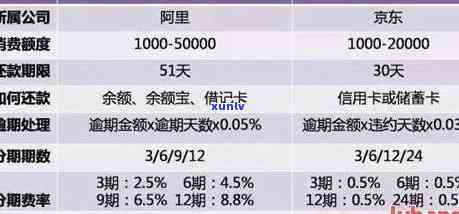 下个账单日信用卡逾期还款困扰，如何处理？