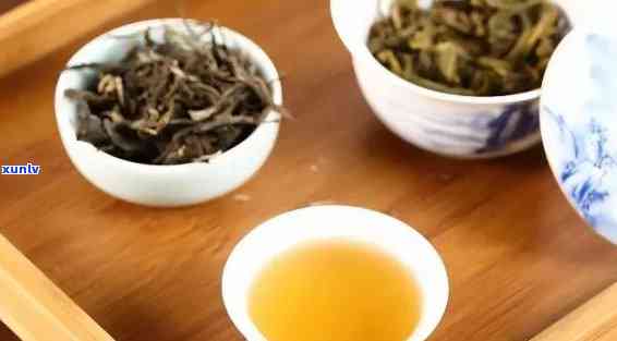 探索茶的世界：从新手到专家，了解茶的种类、泡法和品鉴技巧