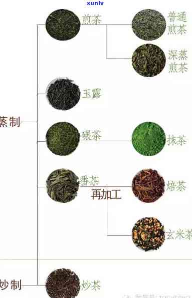 探索茶的世界：从新手到专家，了解茶的种类、泡法和品鉴技巧