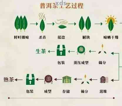 普洱茶新工艺：潜在危害与应对策略的全面解析