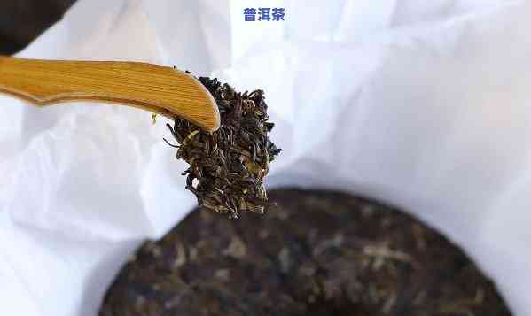 普洱茶官方网站：探索普洱茶的全貌，解答您的所有疑问