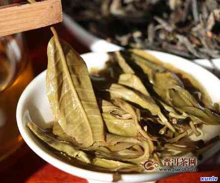 章朗古树普洱茶生茶的口感特点与魅力：全面解析章朗普洱茶特色