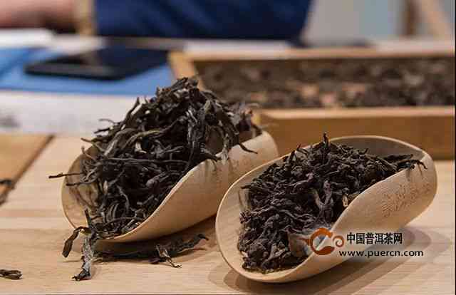 章朗普洱茶