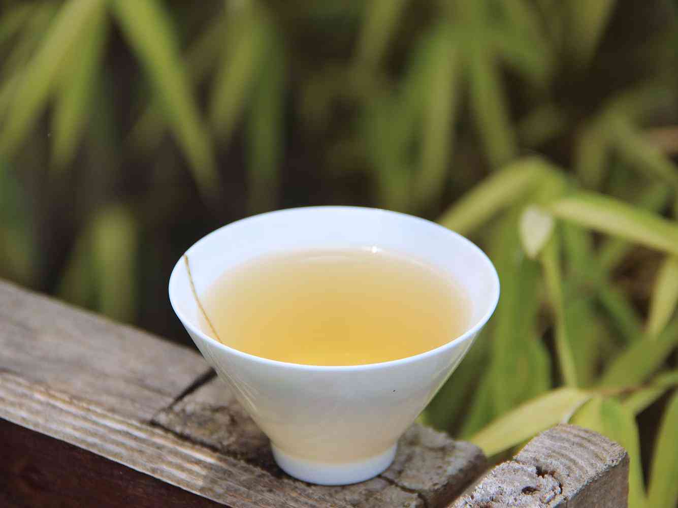 云南普洱茶价格及茶叶种类介绍：木府与茶马古道的文化渊源