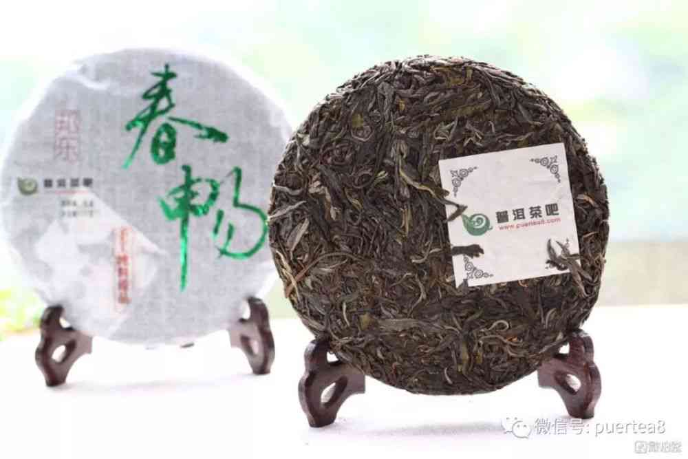 东普洱茶