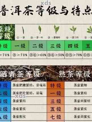 太氏普洱茶级别：了解其茶叶分类