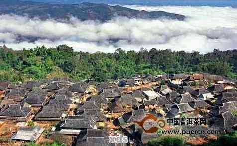 普洱茶的故乡：探索迷弟普洱茶的产地与文化背景