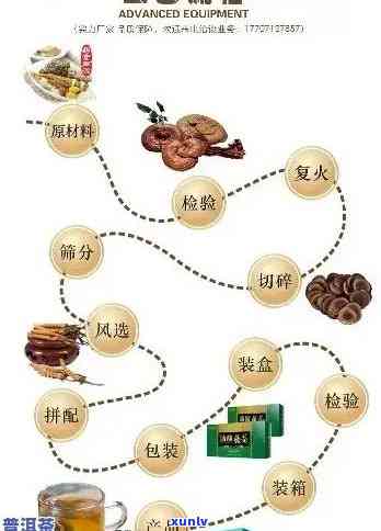 全面解析普洱茶机器：选购指南、使用方法、品质评判与推荐