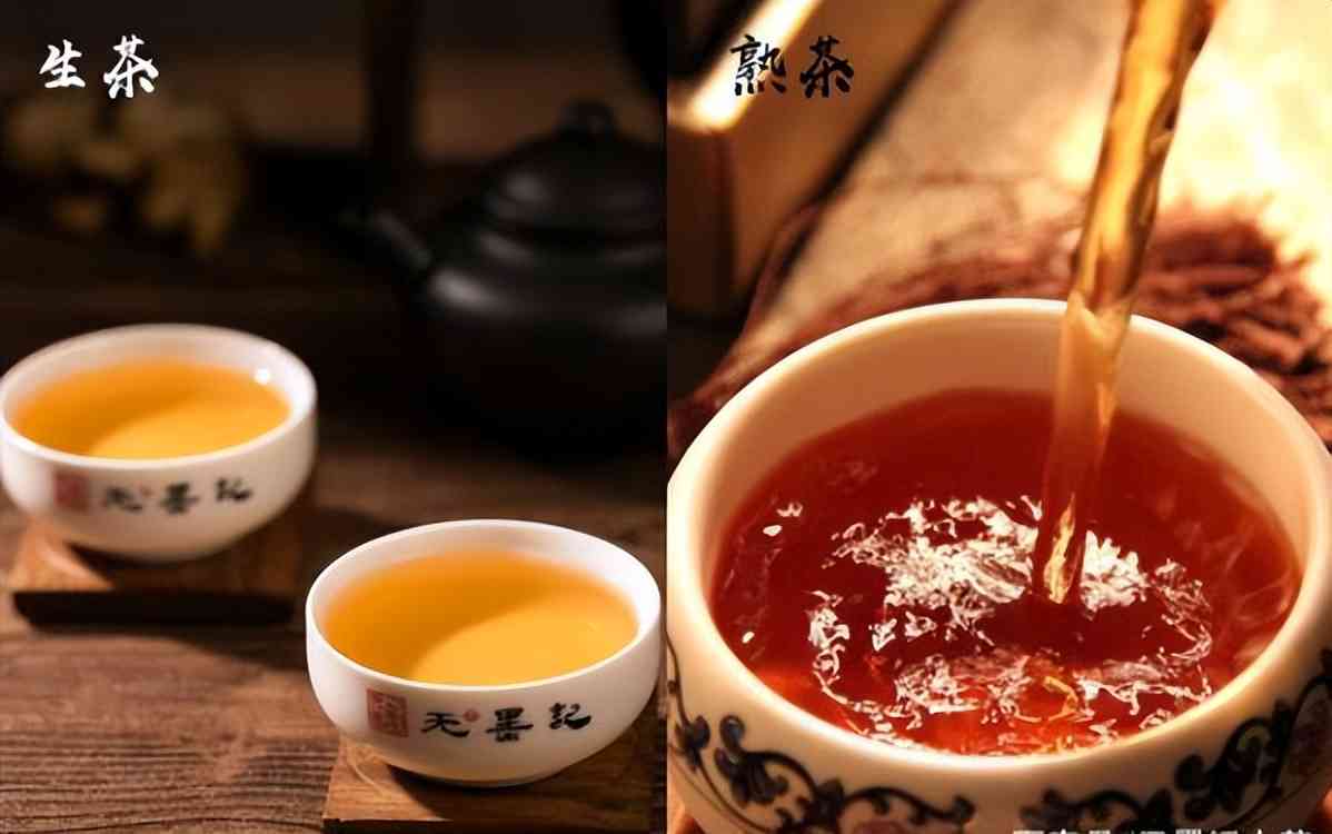 哈尼普洱茶：品茗体验、功效与泡法的全面指南