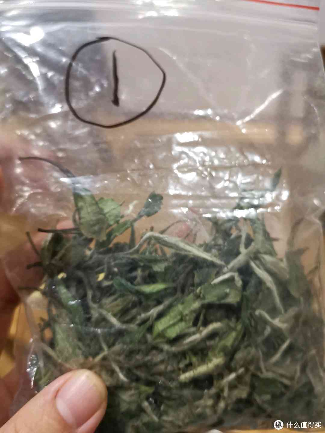 喝普洱茶用什么杯子：最合适的冲泡方法与选择