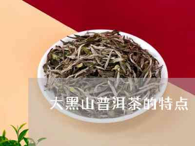 大黑山原生态普洱茶：品鉴独特的解析与特点