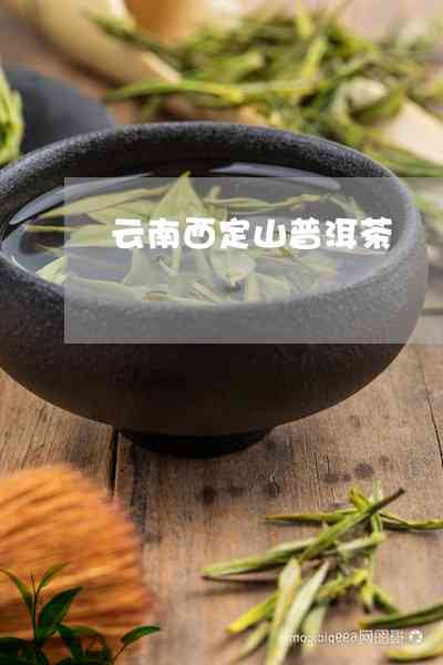 西定古茶山普洱茶：口感独特，价格亲民