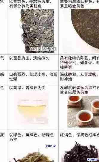 普洱茶茶包：品种、制作工艺、功效与冲泡方法全面解析