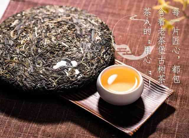 专注于高品质普洱茶的